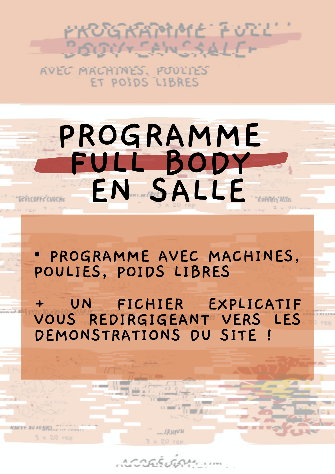 Affiche programme full body